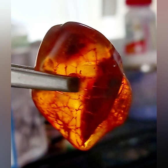 Baltic amber, incased  flying insect , rare & Unique Beautiful shape and colors - Picture 7 of 8